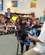 Petersen Pet Hospital image 13