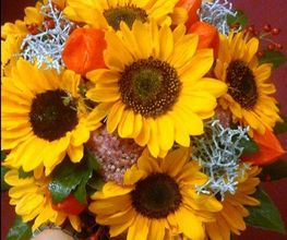 Blumen & mehr Bild 2