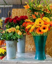 Brin De Nature image 14