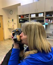 Deer Park Veterinary Hospital image 20