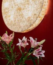 LaLita Tantramassage Bild 12