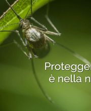 CIADIT SUISSE SA Bild 11