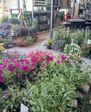 Bricomarché Saverdun image 11