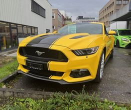 Auto Götte AG Bild 12
