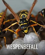 PCS GmbH (APEX) Bild 4