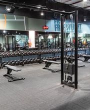 Basic-Fit imagen 2