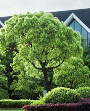 Maklerbüro Stefan Ganter Bild 5