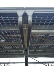 Alu Diffusion image 2