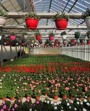 Maugein GAEC image 4