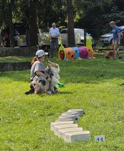 Hundecoach Melly- Mobil & Individuell Bild 18