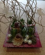 Maison NECTOUX Fleurs et nature image 19