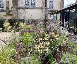 Jardins Intemporels image 5