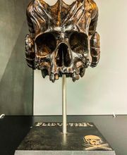 Legmod 47 Pineuilh image 7