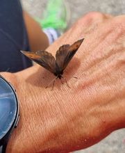 Patrick Frink Personal Trainer & Outdoortraining Bild 8