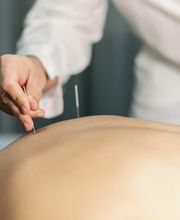 Turnell Reto - Praxis für TCM Bild 1