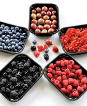 Stalder Schweizerfrüchte AG Bild 3