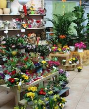 Gärtnerei Huber Pfedelbach Bild 2