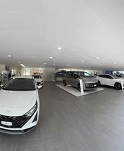 Sedel Garage AG Luzern Bild 5