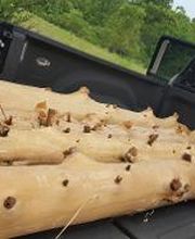 Snellen Wood Products image 1