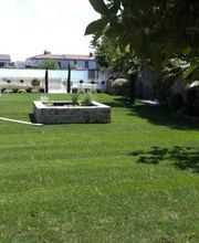 Shad Peinture image 20