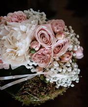 Savina Fleurs image 5