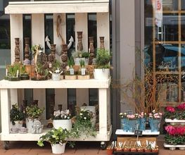 Blumen Interfleur Floristik & Wohnaccessoires Bild 9