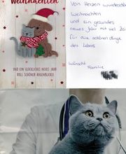 Tierarztpraxis Ullmann Bild 13