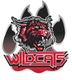 Wildcats Cheerleader Leverkusen e.V.