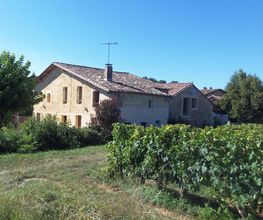 La Petite Madeleine image 9