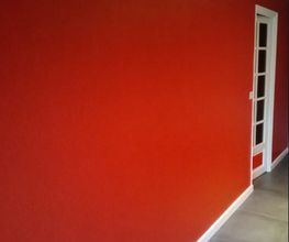 DVX Peinture image 5