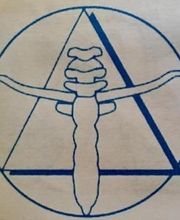 Thibault De Beauregard Pierre image 2