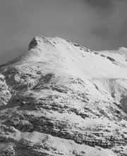 Fotografie Scheeder Bild 1