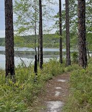 Blackwater Joe's: Canoes Cabins Camping image 8