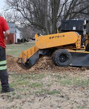 Whitledge Tree Service LLC image 19