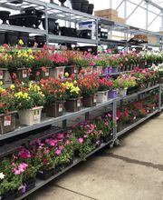 Tractor Supply Co. image 7