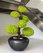 Côté Jardin image 16