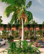 ECOLE Agencia Inmobiliaria imagen 9