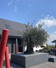 Falize-Blondel image 9