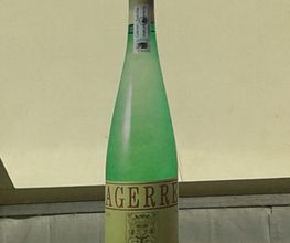txakoli-agerre-cosecha-01.jpg