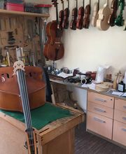 Tallis Philippe image 2