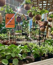 HORNBACH Gartencenter Leipzig - Alte Messe Bild 9