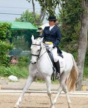 Escuela de Doma Clásica EV imagen 15