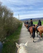 Reitstall Bühl Bild 12