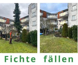 Baum fällen