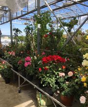 DELBARD TONNERRE image 3