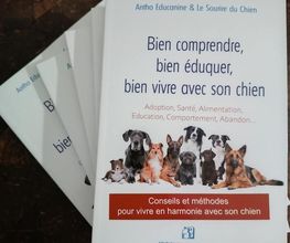 Antho Educanine image 3