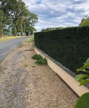 Elagage Gael Espaces Verts image 11