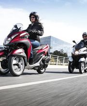 Scoot Expert image 1
