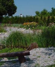 LEDER Garten- + Landschaftsbau Bild 6