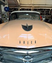 Gallery Professionale